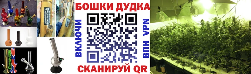 Бошки марихуана THC 21%  Карачев 